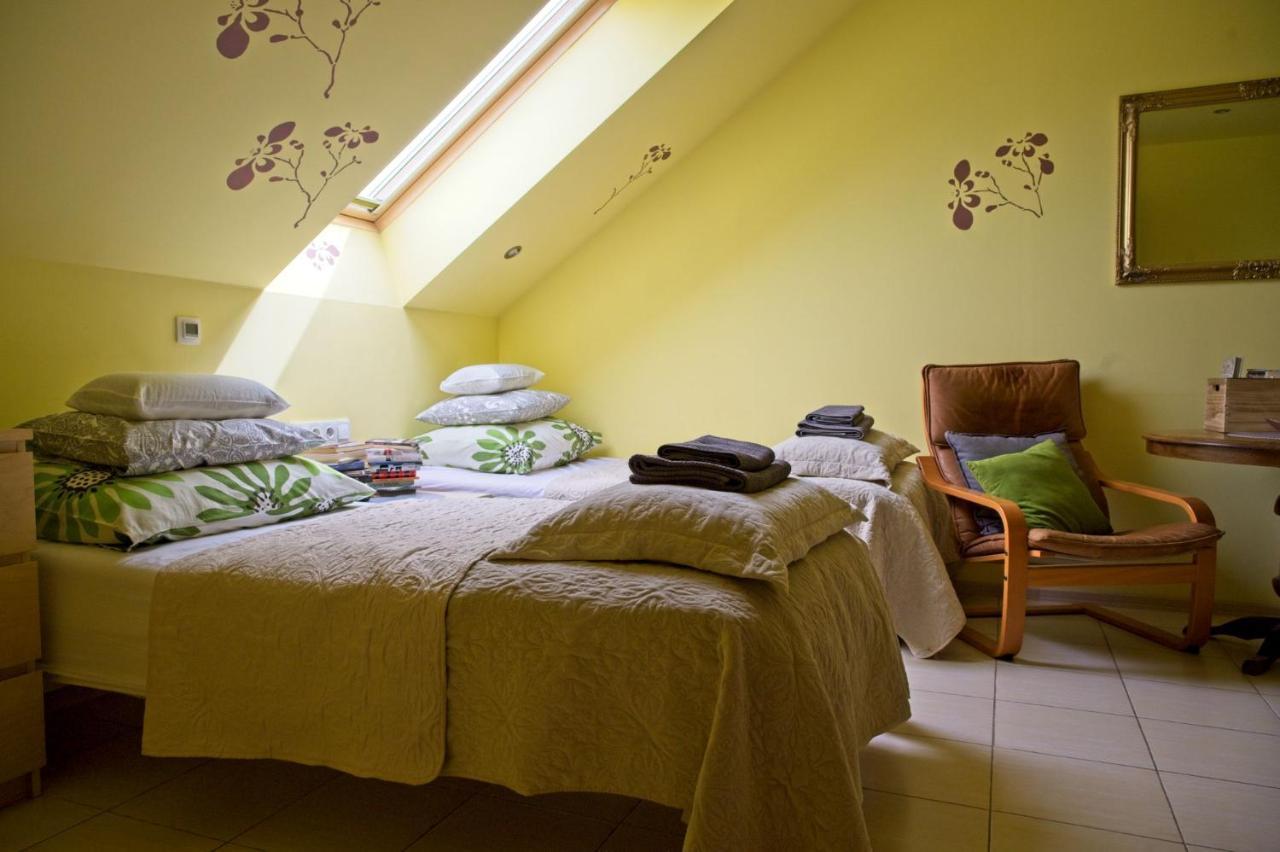 Medison Family Boutique B&B 凯尔采 外观 照片