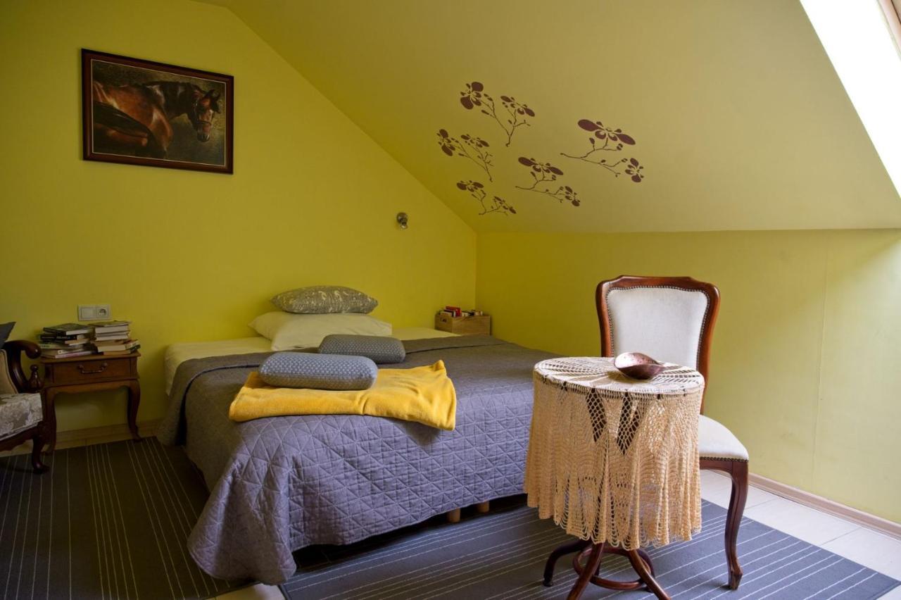 Medison Family Boutique B&B 凯尔采 外观 照片